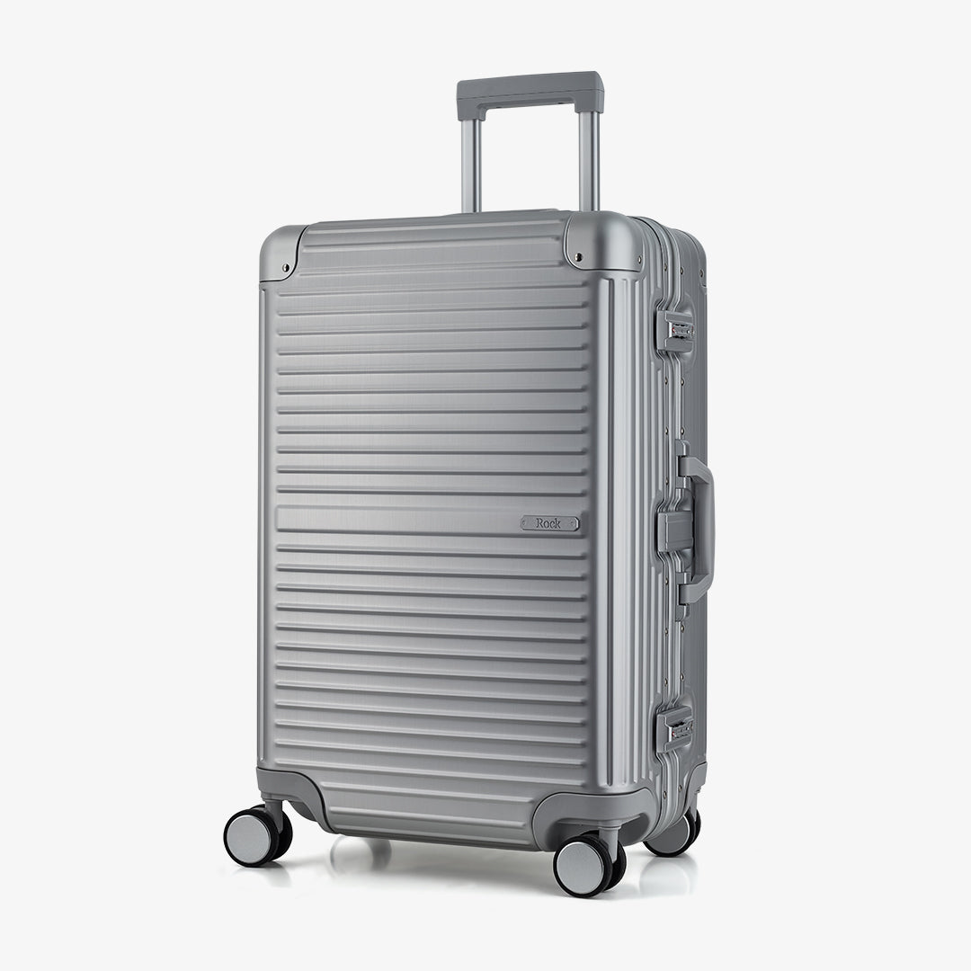 Axel Medium Suitcase in Silver
