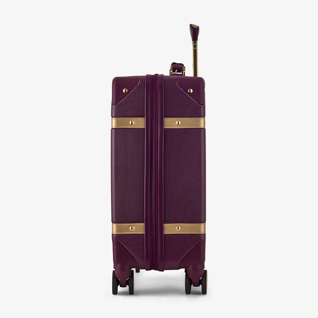 Vintage Small Suitcase in Fig