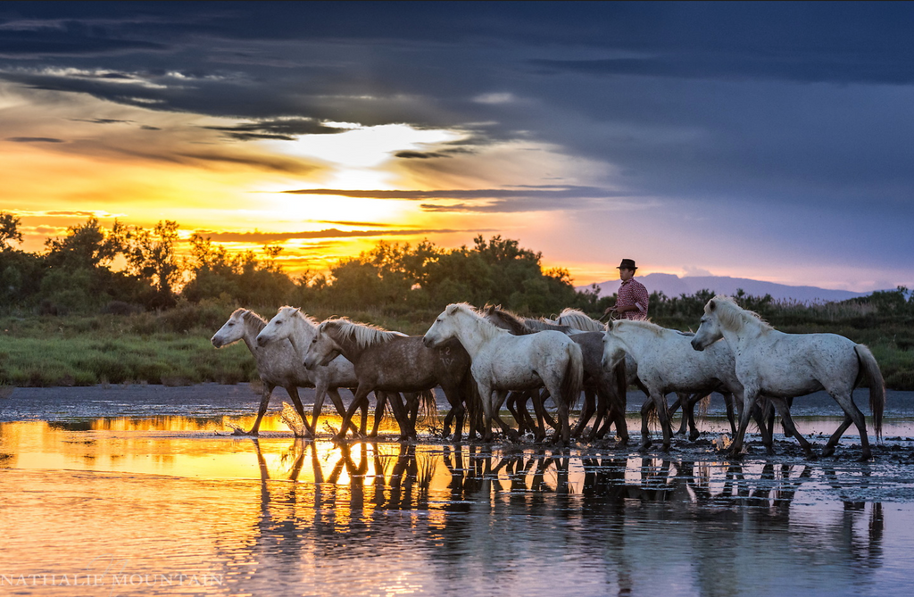 Inspirational Travellers: Nathalie Mountain, Travel & Wildlife Photographer