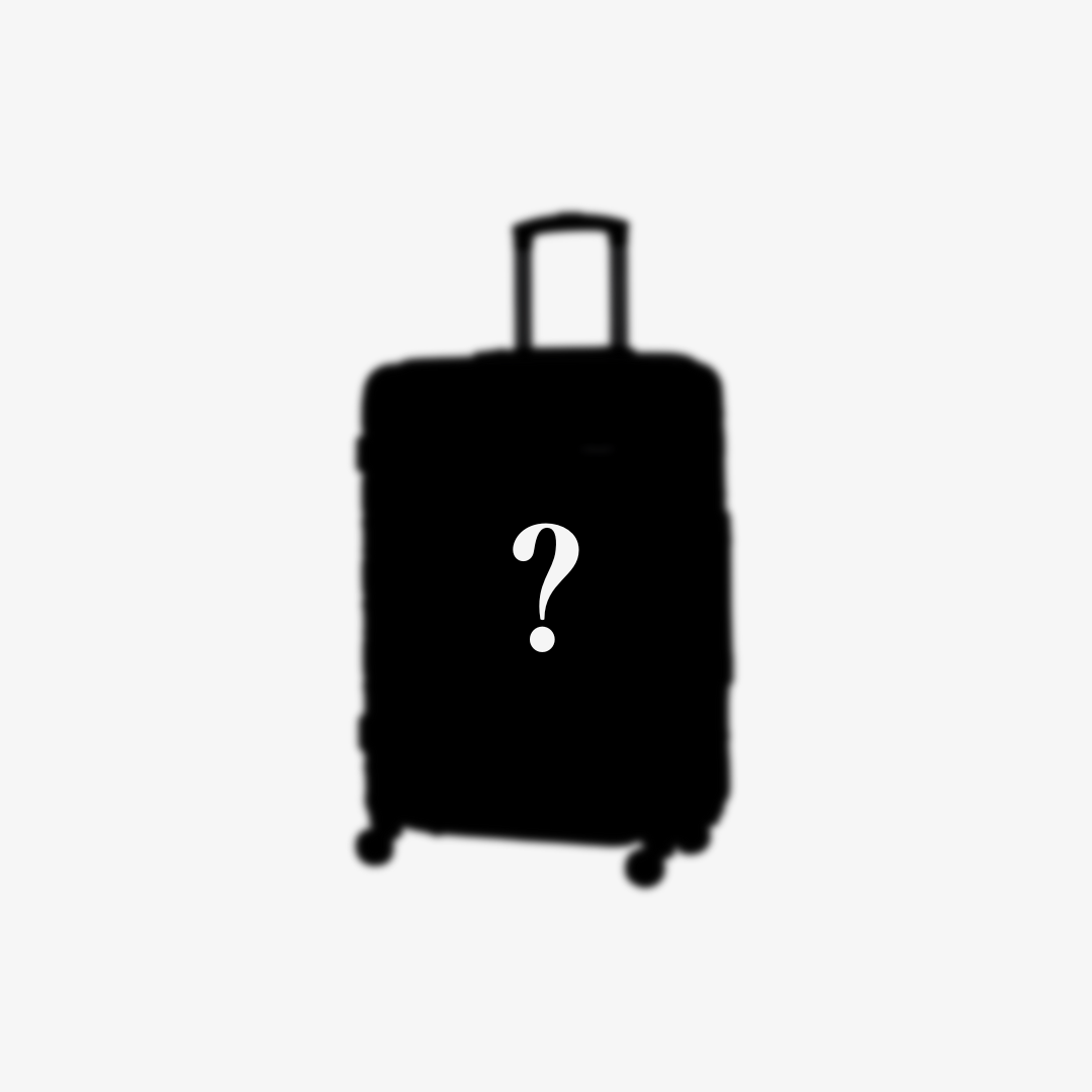 Secret Santa Medium Suitcase