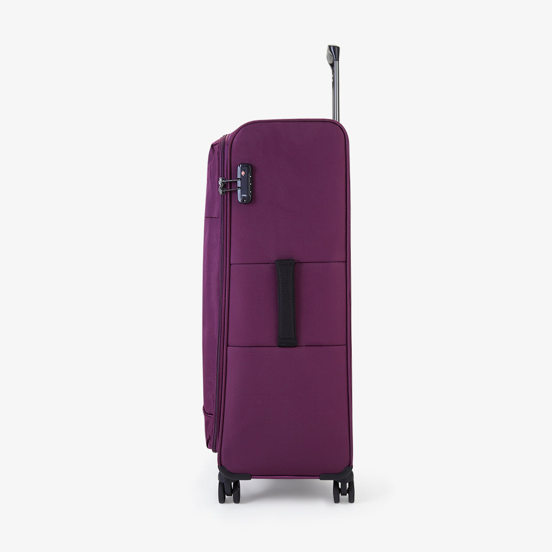 Paris Set of 4 Suitcases in Purple