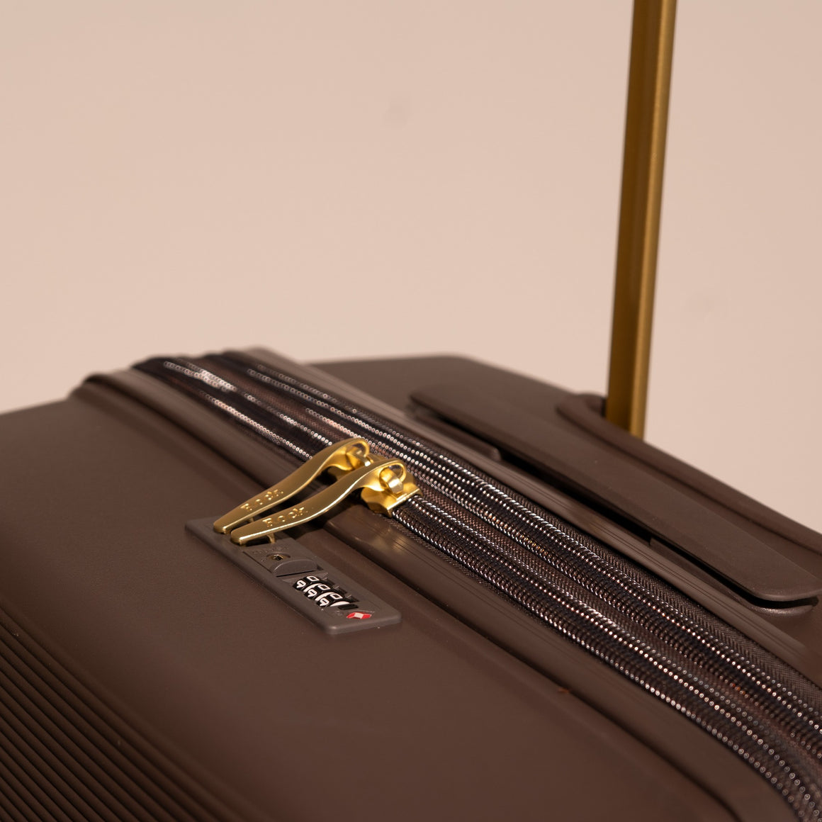 Medina Small Suitcase in Clove Brown
