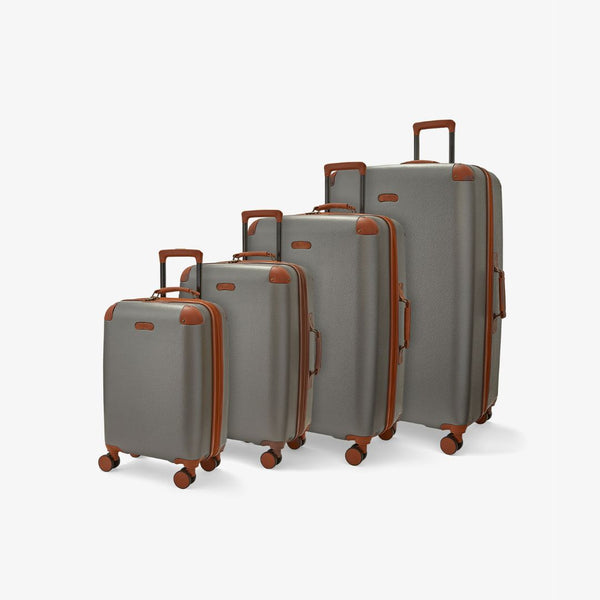 Carnaby Set of 4 Suitcases in Platinum